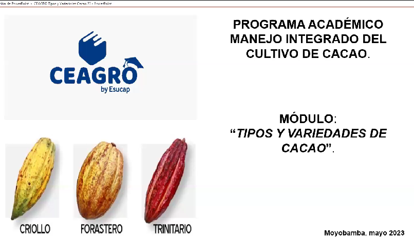 TIPOS Y VARIEDADES DEL CACAO